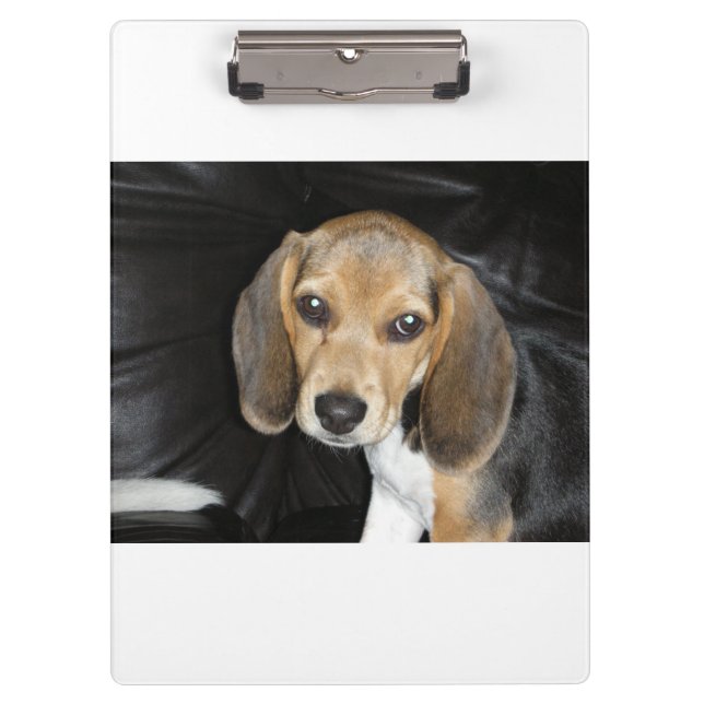 beagle puppy 2 clipboard (Front)