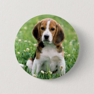 Beagle Puppy 2 Inch Round Button