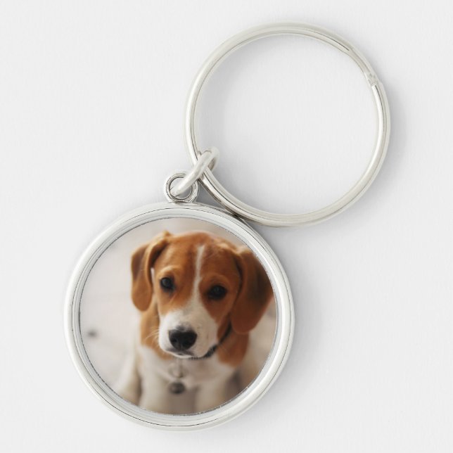 Beagle Puppy 2 Keychain (Front)