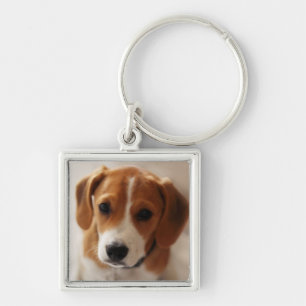 Beagle Puppy 2 Keychain