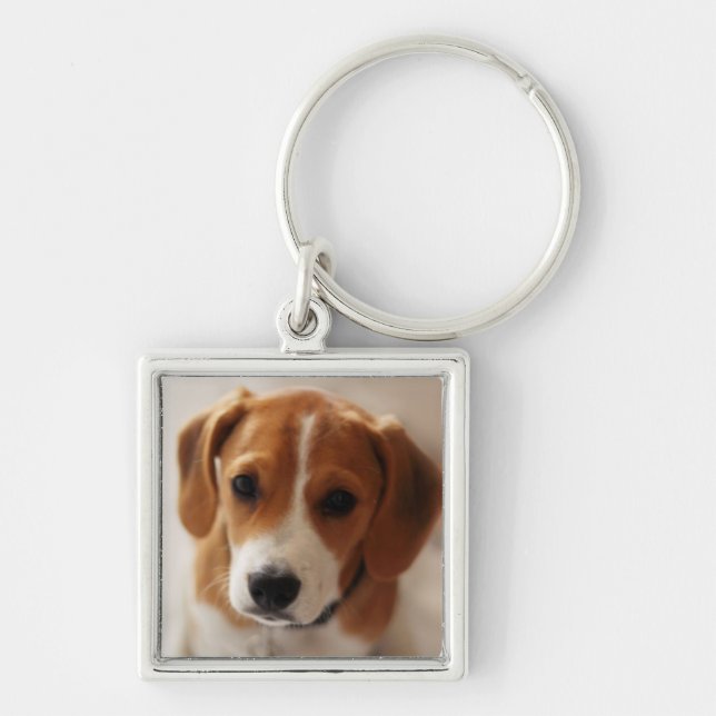 Beagle Puppy 2 Keychain (Front)