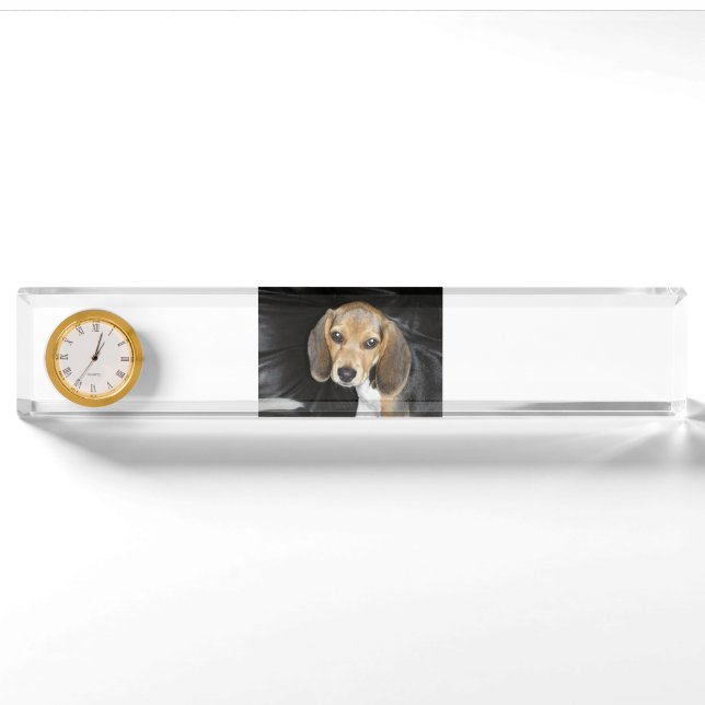 beagle puppy 2 nameplate (Front)