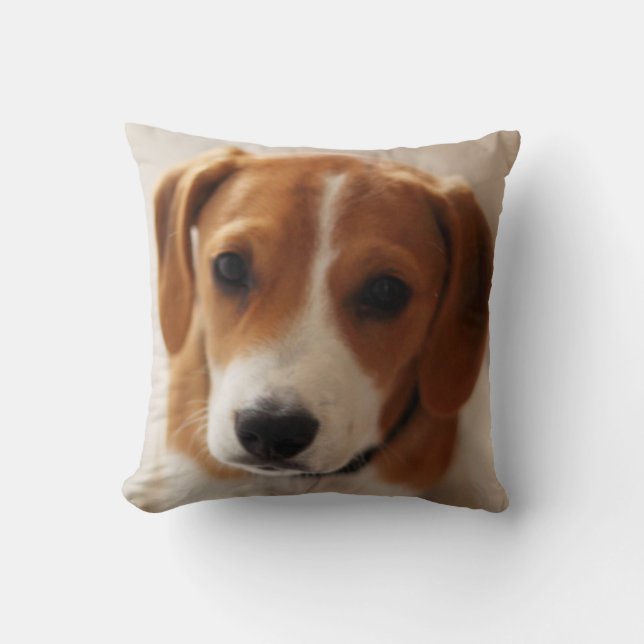 Beagle Puppy 2 Throw Pillow (Front)