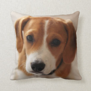 Beagle Puppy 2 Throw Pillow