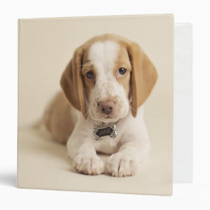 Beagle Puppy Binder