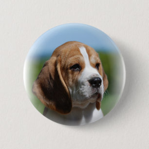 Beagle Puppy Button