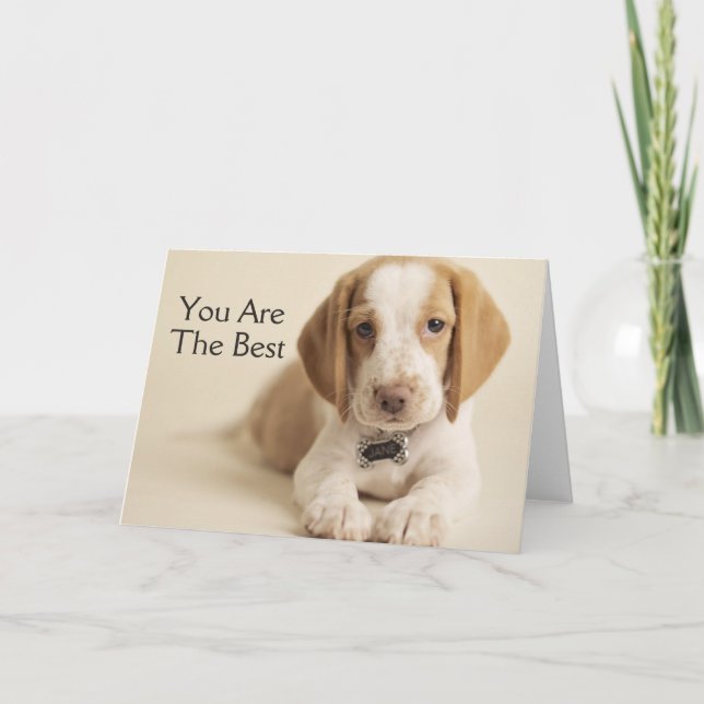 Beagle Puppy Card (Front)