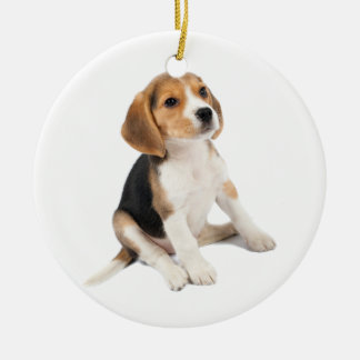 Beagle Puppy Ceramic Ornament