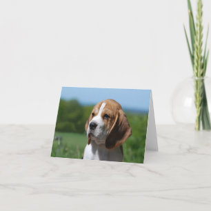 Beagle Puppy Dog Blank Note Card