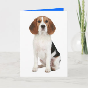 Beagle Puppy Dog Hello Thinkng of You Card