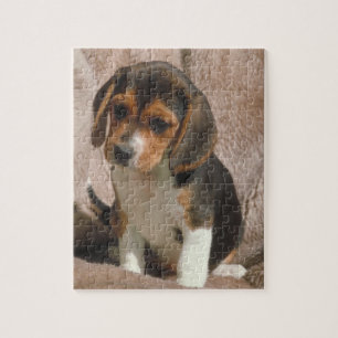 Beagle Puppy Dog Puzzle
