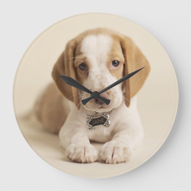 Beagle Puppy Large Clock (Front)