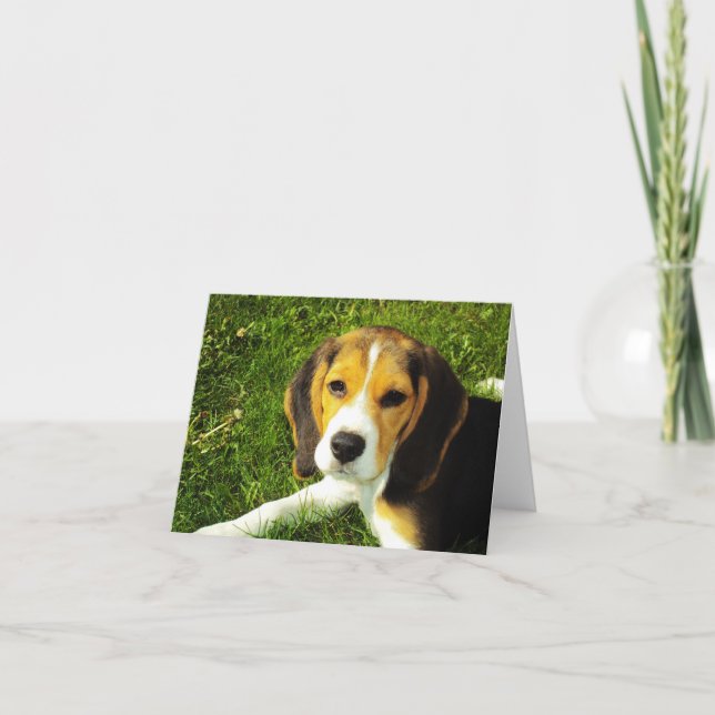 Beagle Puppy Note Card (Front)