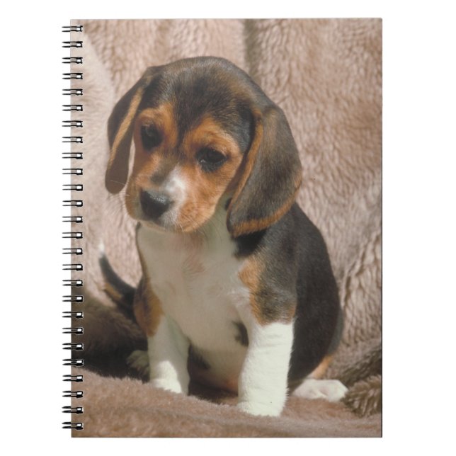 Beagle Puppy Notebook (Front)
