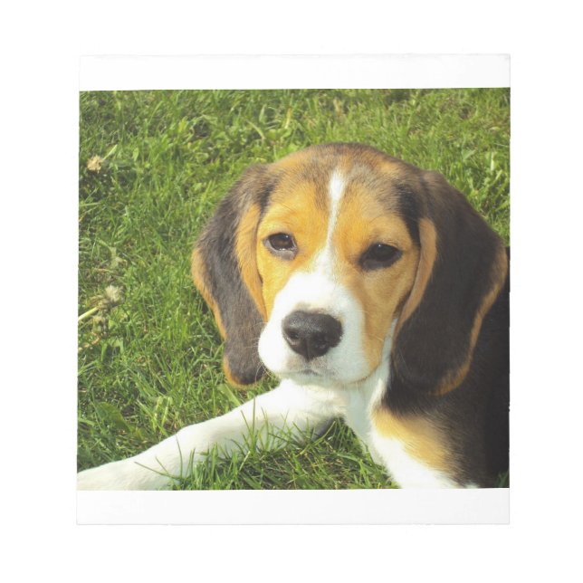 beagle puppy notepad (Front)
