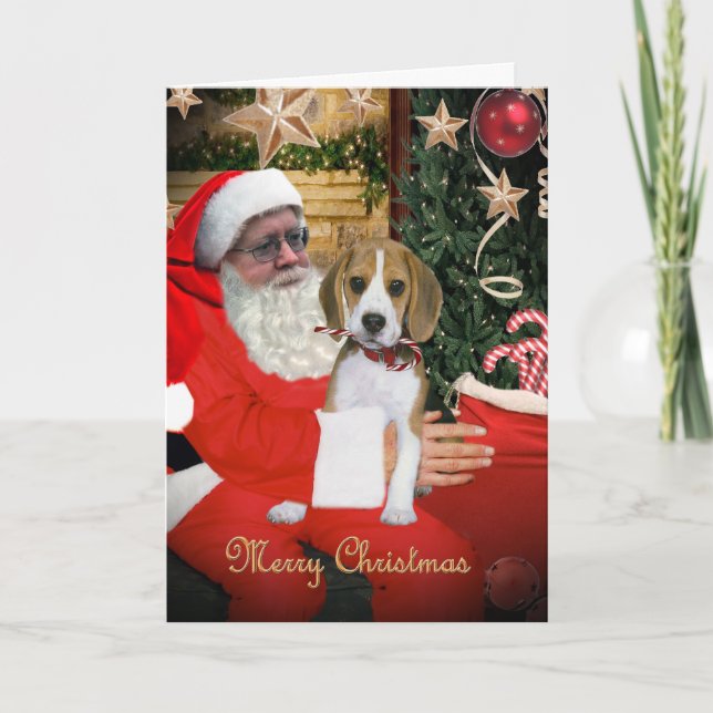 Beagle Puppy on Santa's Lap Cards (Front)