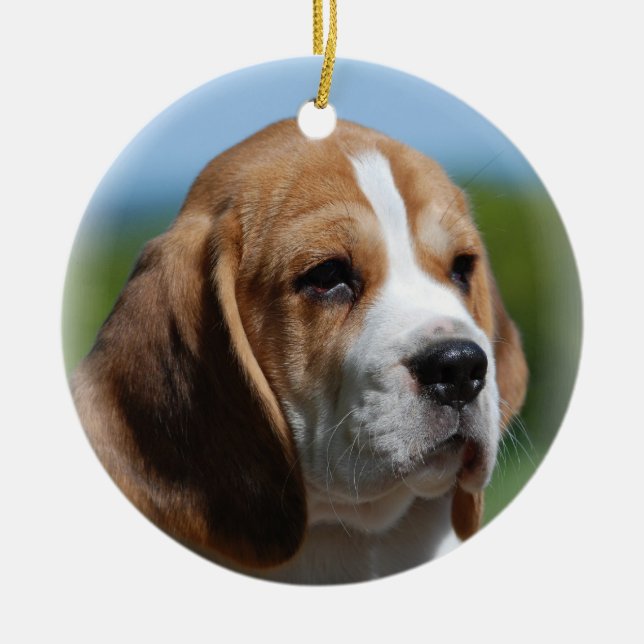 Beagle Puppy Ornament (Front)