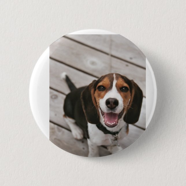 Beagle_puppy sitting 2 inch round button (Front)