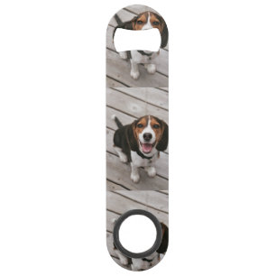 Beagle_puppy sitting bar key