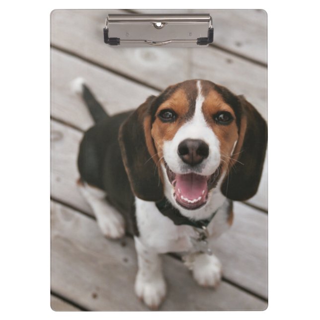 Beagle_puppy sitting clipboard (Front)