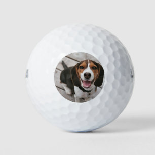 Beagle_puppy sitting golf balls