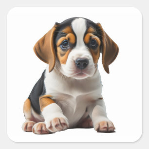 Beagle Puppy  Square Sticker