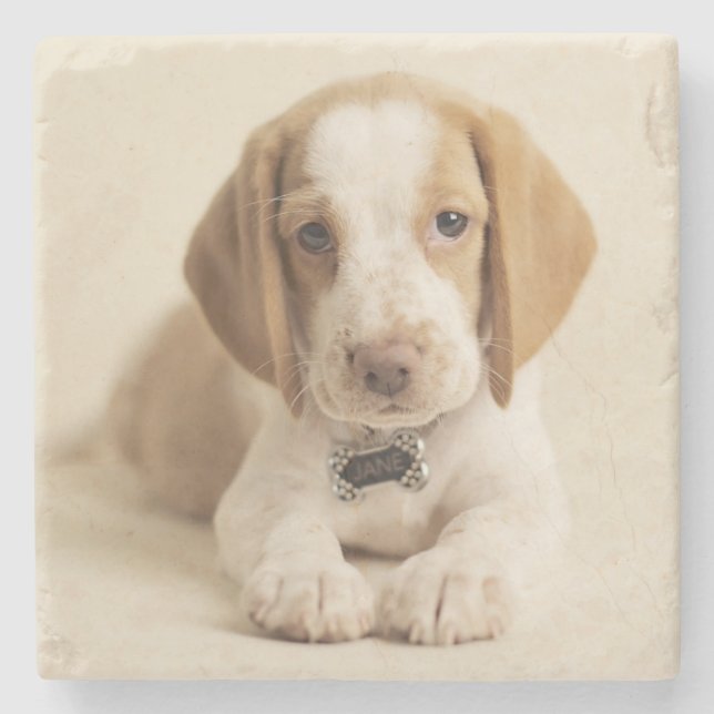 Beagle Puppy Stone Coaster (Front)