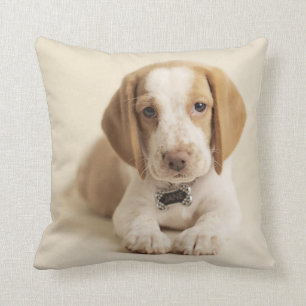 Beagle Puppy Throw Pillow