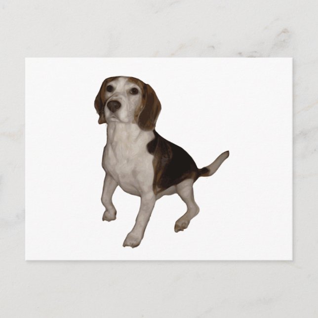 beagle sitting third postcard (Front)