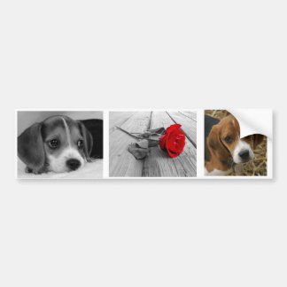 Beagle stickers