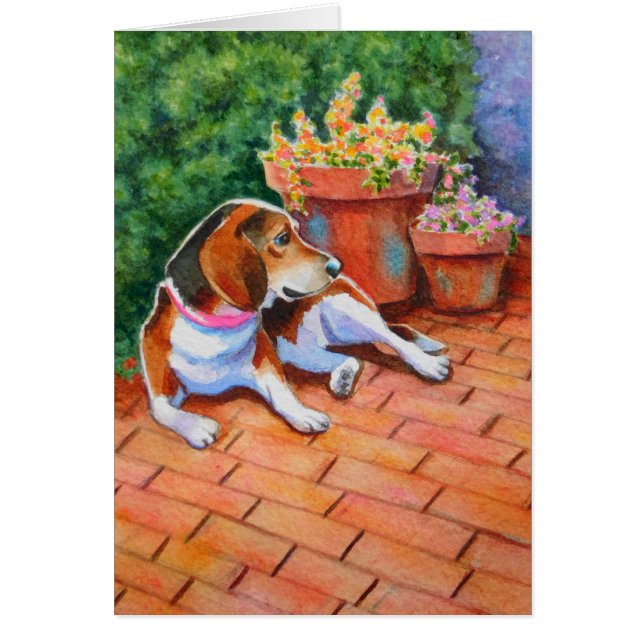 Beagle sur Brick Patio (Devant)