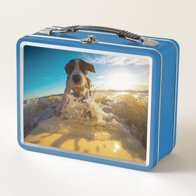 Beagle surfing metal lunch box (Front)