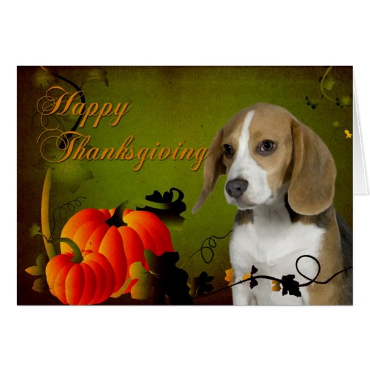 Beagle Thanksgiving Card