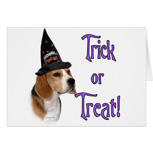 Beagle Trick (Front Horizontal)