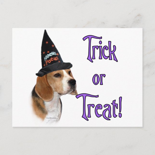 Beagle Trick Postcard (Front)
