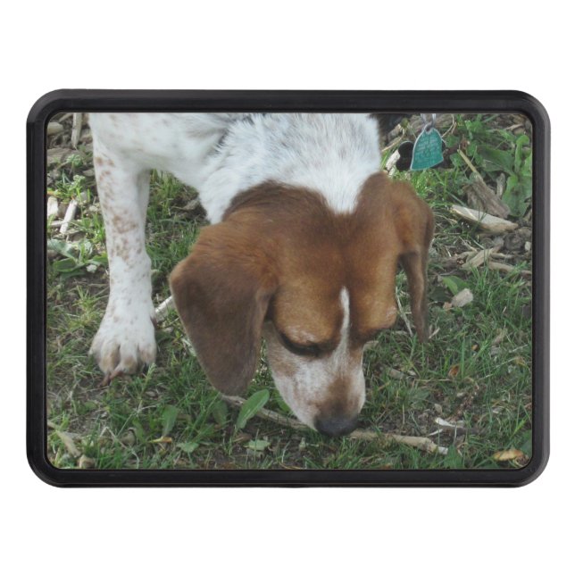 Beagle Truck Hitch Cover (Front)