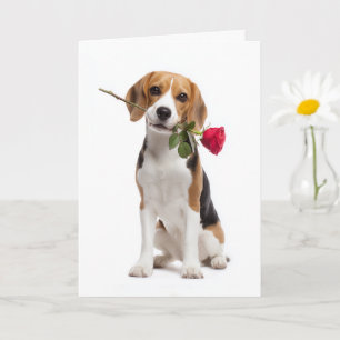 Beagle Valentine Card