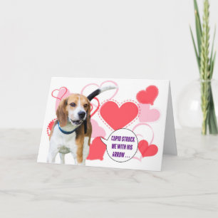 Beagle Valentine's Day Card