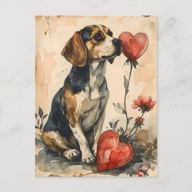 Beagle Vintage Valentine's Day  Postcard (Front)