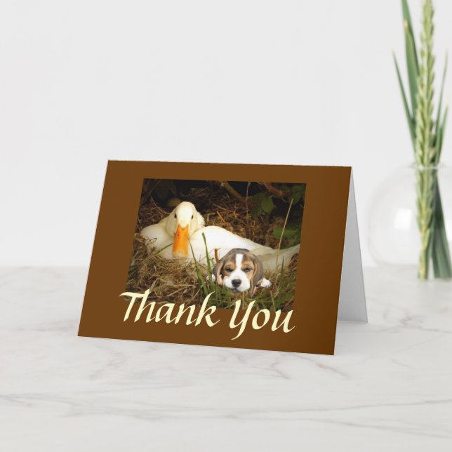 Beagle With Duck Thank You Card (Front)