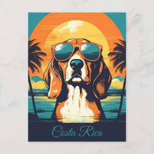 Beagle with sunglasses at a tropical beach Custom Postcard