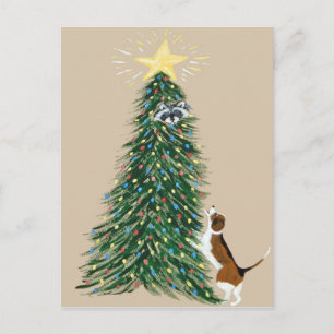 Beagle With Treed Raccoon Postcard