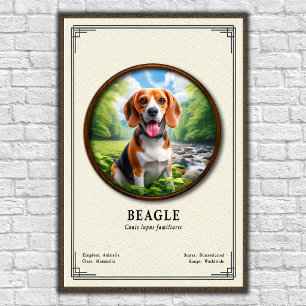 Beagle Zoology Series Poster