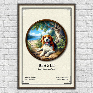 Beagle Zoology Series Poster