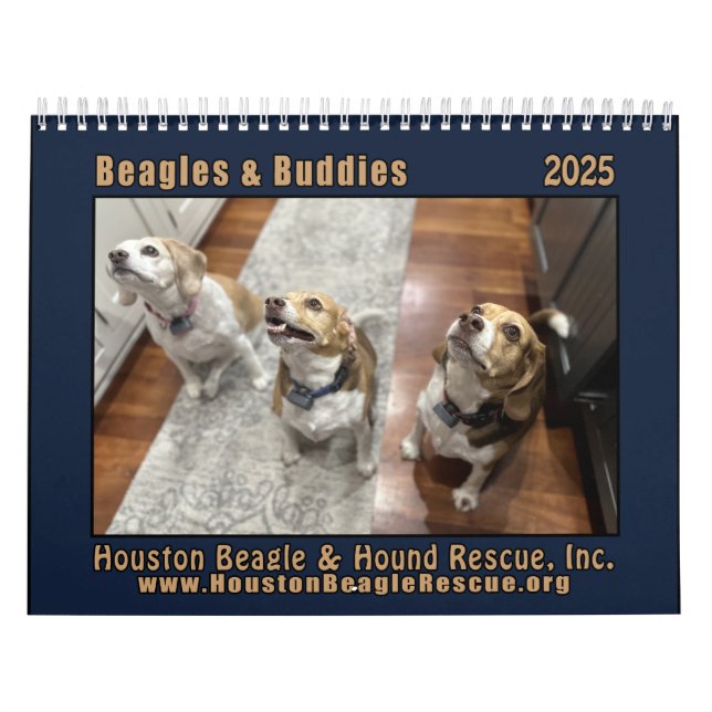 Beagles & Buddies 2025 wall calendar (Cover)