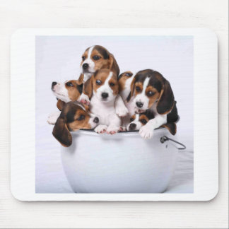 Beagles in Bucket Mouse Pad