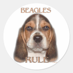 Beagles Rule! Classic Round Sticker