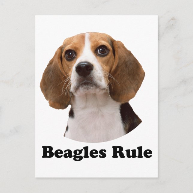 Beagles Rule Postcard (Front)