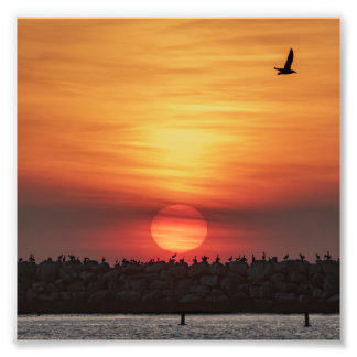 Beaitiful Sunset Colors - Marina Del Rey, CA Photo Print