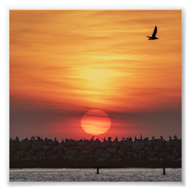 Beaitiful Sunset Colors - Marina Del Rey, CA Photo Print (Front)